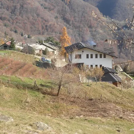 Gospodarstwo agroturystyczne Agriturismo Il Runch *